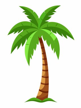 Hindistan cevizi palmiyesi Beyaz Arkaplan Vektöründe izole edildi