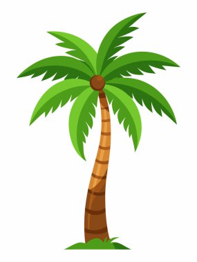 Egzotik Ada Palmiye Ağacı Resimleri Beyaz Üzerine İzole Edildi