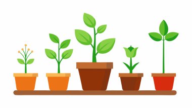 Seramik Saksıda Genç Bitki Düz Botanik Çizimi