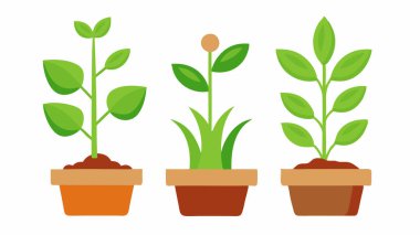 Seramik Saksıda Genç Bitki Düz Botanik Çizimi