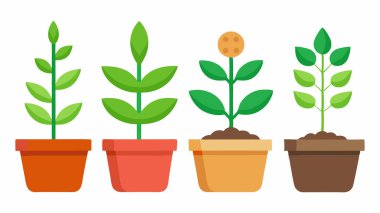 Ot Koleksiyonundaki Çevre dostu Yeşil Bitkiler