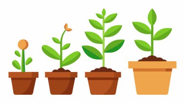 Ot Koleksiyonundaki Çevre dostu Yeşil Bitkiler