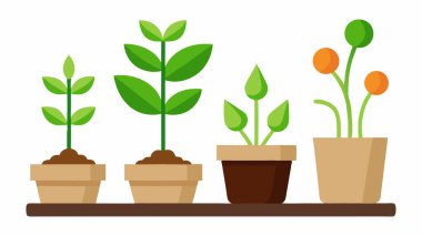 Beyaz Arkaplanda Kapalı Ev Bitkisi Seti