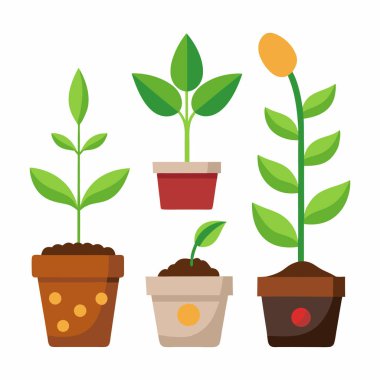 Saksı Bitkileri ve Tohum Vektör İllüstrasyonu Koleksiyonu