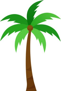 Single Coconut Tree Vector Illustration for Nature Design