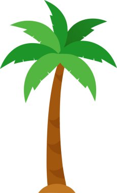 Gerçekçi Hindistancevizi Ayası Beyaz Arkaplanda İzole Edildi