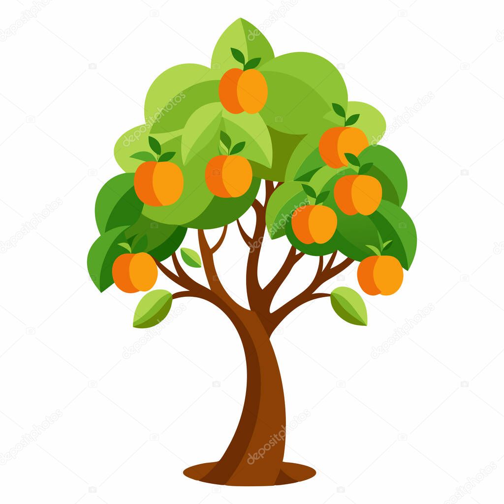 Fruit Tree Vector Illustration on White Background