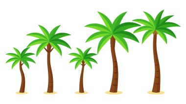 Palmiye Ağaçları Vektörü (124; EPS Tropikal Resimler)