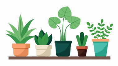 Salon Bitkisi Grafik Koleksiyonu (124; Düzenlenebilir EPS Doğa Vektörü)