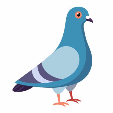 Güvercin Vektörü İllüstrasyonu: 124; Beyaz Arkaplanda EPS