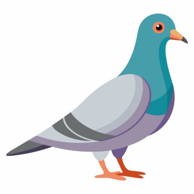 Güvercin Vektörü İllüstrasyonu: 124; Beyaz Arkaplanda EPS