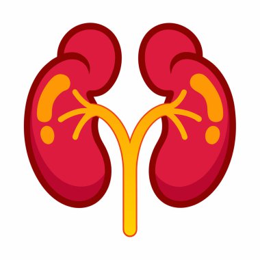 Anatomik Böbrek Grafiği: 124; Düzenlenebilir EPS Tıbbi Vektörü