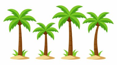 Hindistancevizi Palmiye Ağaçları Vektör İllüstrasyonu: 124; Beyaz Arkaplanda EPS