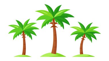 Hindistancevizi Palmiye Ağaçları Vektör İllüstrasyonu: 124; Beyaz Arkaplanda EPS