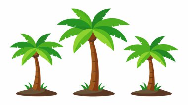 Hindistancevizi Palmiye Ağaçları Vektör İllüstrasyonu: 124; Beyaz Arkaplanda EPS