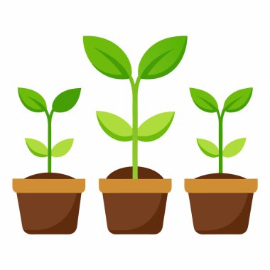 Saksı Bitkileri Dekoratif Bitkilerinin Vektör İllüstrasyonu