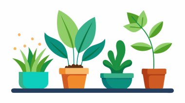 Saksı Bitkileri Dekoratif Bitkilerinin Vektör İllüstrasyonu