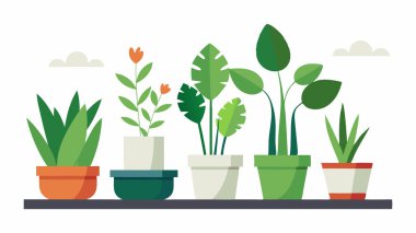 Tencere Vektörü İllüstrasyonunda Kapalı Bitki Koleksiyonu