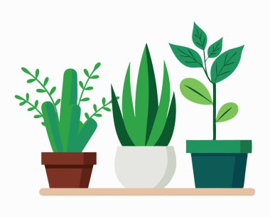 Tencere Vektörü İllüstrasyonunda Kapalı Bitki Koleksiyonu