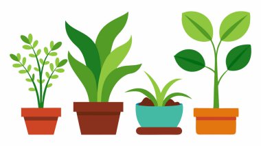 Tencere Vektörü İllüstrasyonunda Kapalı Bitki Koleksiyonu