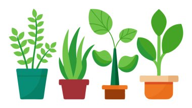 Tencere Vektörü İllüstrasyonunda Kapalı Bitki Koleksiyonu