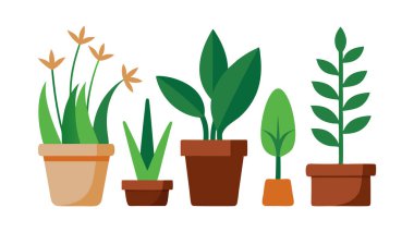 Tencere Vektörü İllüstrasyonunda Kapalı Bitki Koleksiyonu