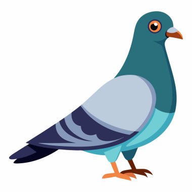 Beyaz Arkaplanda Güvercin Vektör Resimleri İzole Edildi