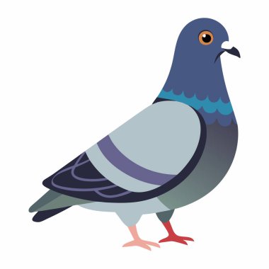 Beyaz Arkaplanda Güvercin Vektör Resimleri İzole Edildi