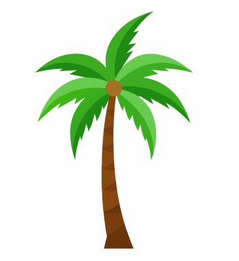 Fruits Vektör 124lü Hindistan cevizi Ağacı; EPS Tropikal İllüstrasyon