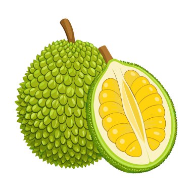 Taze Jackfruit beyaz arka plan izole