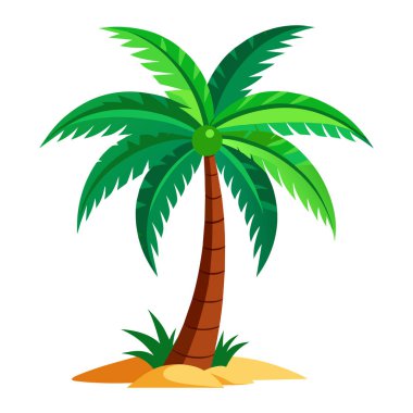 Hindistan Cevizi Palmiyesi Vektörü: 124; Doğa & Plaj İllüstrasyonu