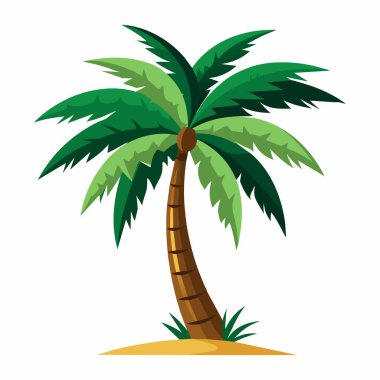 Hindistan Cevizi Palmiyesi Vektörü: 124; Doğa & Plaj İllüstrasyonu