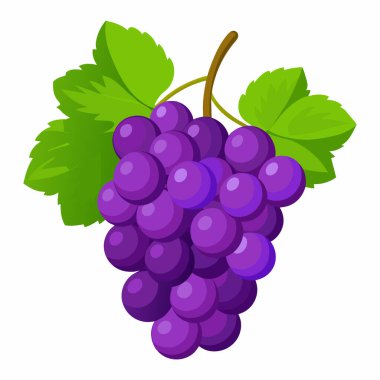 Temiz Beyaz Arkaplan ile Organik Üzüm Kümesi