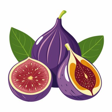 Olgun İncir Meyveleri Toplama