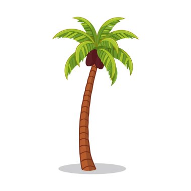 Ayrıntılı yaprakları olan tropikal yeşil palmiye ağaçları ve beyaz üzerine izole edilmiş kavisli gövdeler.