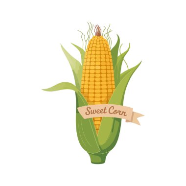 Koçandaki taze organik mısır, yeşil kabuklu ve eski bir kurdele etiketli.