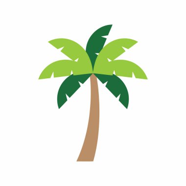 Beyaz Minimum Tropikal Görüntü Üzerine Palmiye Ağacı Vektörü