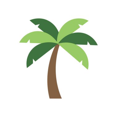 Beyaz Minimum Tropikal Görüntü Üzerine Palmiye Ağacı Vektörü