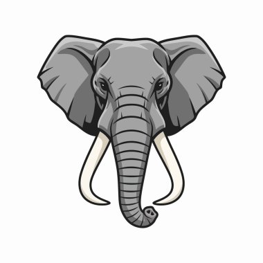 Beyaz Asgari Vahşi Yaşam Hayvan Resimleri Üzerine Fil Vektörü