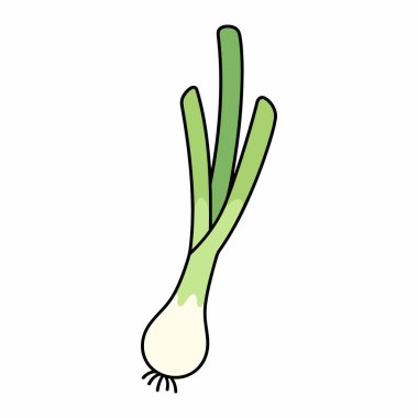 Beyaz arka planda izole edilmiş yeşil saplı ve beyaz ampullü taze organik taze soğan çizimi