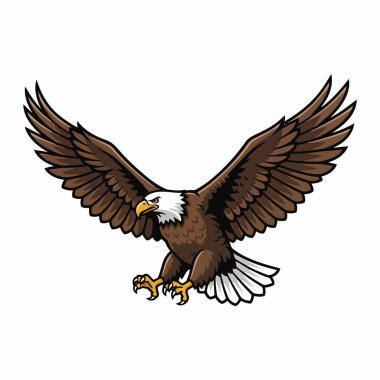 Uçuş Vektörü Kartal, Temiz EPS Vahşi Yaşam İllüstrasyon Beyaz Kartal Vektörü, Görkemli Yırtıcı Kuş EPS İllüstrasyonu