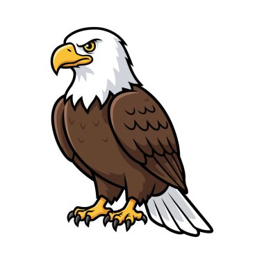 Beyaz Kartal Vektörü, Yırtıcı Kuş EPS İllüstrasyonu