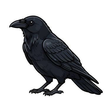 Beyaz Karga Vektörü, Siyah Kuş EPS İllüstrasyonu