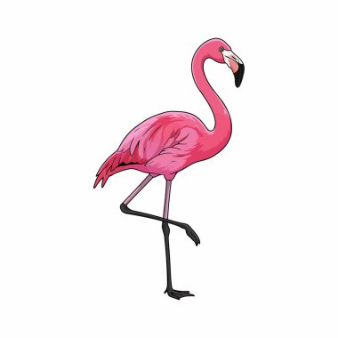 Beyaz Minimum Tropikal Kuş Simgesi Üzerine Flamingo Vektörü