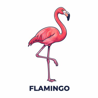 Beyaz Minimum Tropikal Kuş Simgesi Üzerine Flamingo Vektörü