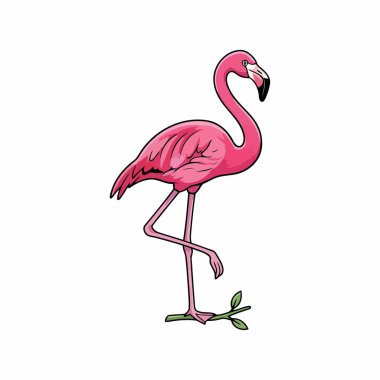 Beyaz Minimum Tropikal Kuş Simgesi Üzerine Flamingo Vektörü