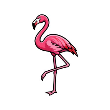 Beyaz Minimum Tropikal Kuş Simgesi Üzerine Flamingo Vektörü