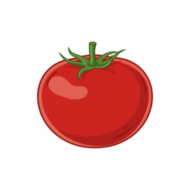 Domates Sebze Vektörü Organik Renkli Gıda, Aşçılık ve Tarım Tasarımı Çizimi