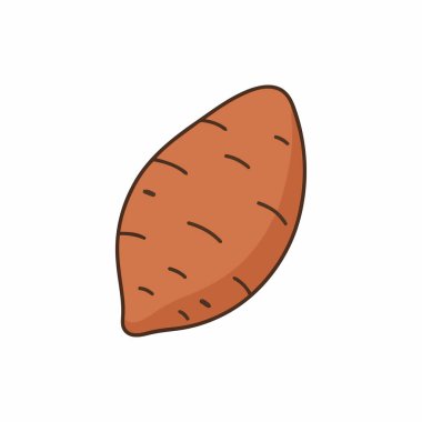 Tatlı Patates Vektörü İllüstrasyonu Beyaz Arkaplanda Taze Kök Sebzesi