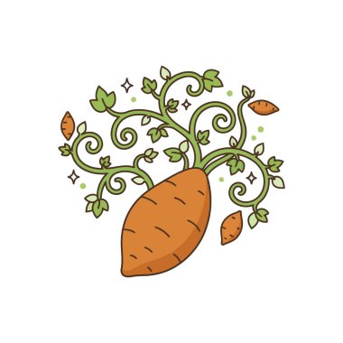 Tatlı Patates Hayatı Döngüsü Vektörü Tuber Düz Renk Resimlerinden Grafik Büyümesi